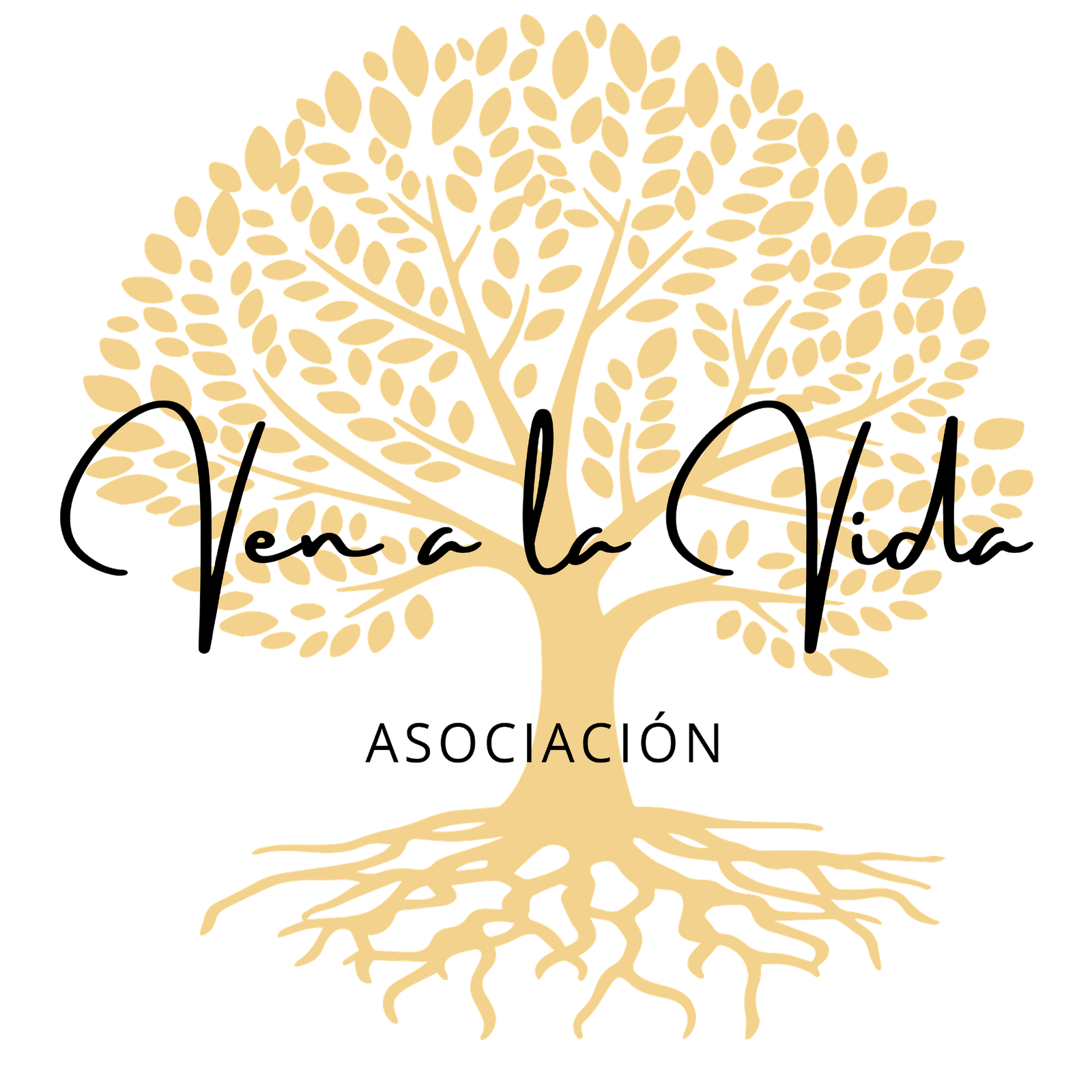 Asociación Ven a la Vida - Tienda segunda mano Bilbao